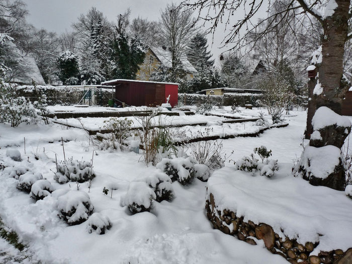 P1760907 - 2015 - 2016 - 00 - Iarna