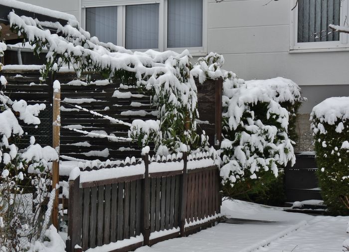 P1760948 - 2015 - 2016 - 00 - Iarna