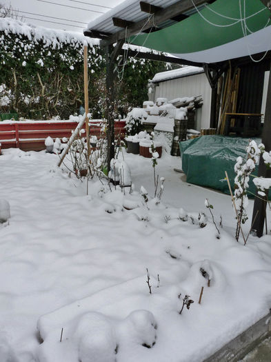 P1760958 - 2015 - 2016 - 00 - Iarna