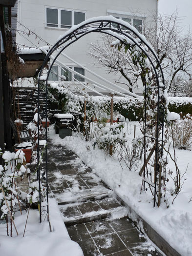 P1770029 - 2015 - 2016 - 00 - Iarna