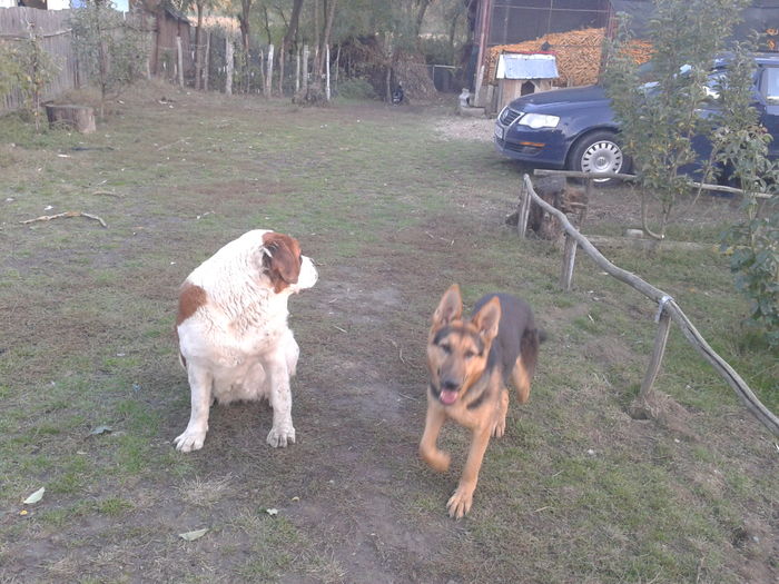 2015-10-22 15.11.29_1