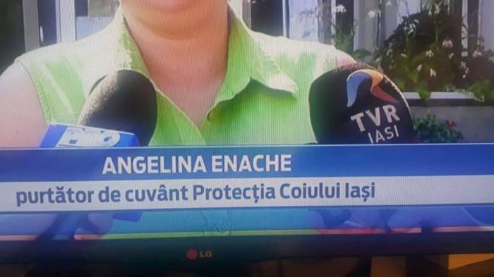 423749685 - POZE HAIOASE