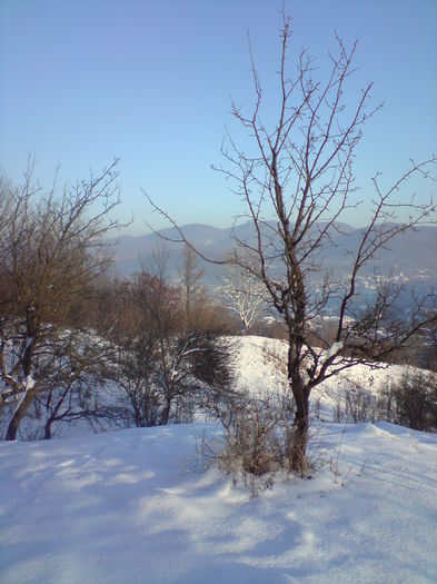 DSC01683