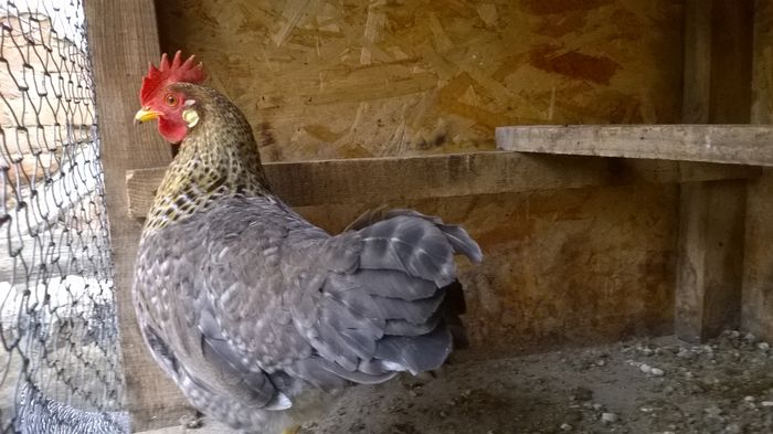 WP_20160107_15_13_55_Pro