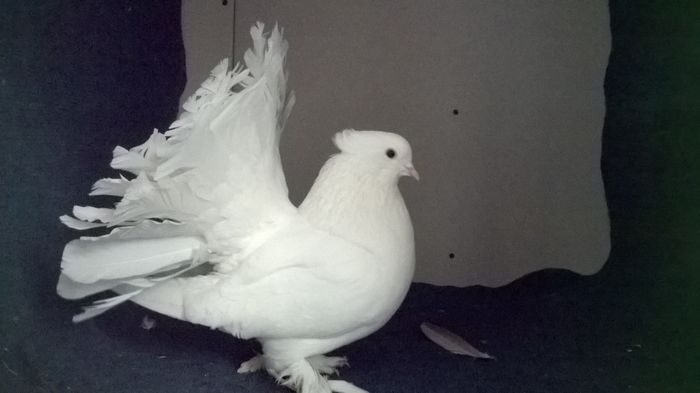 WP_20160107_13_22_25_Pro