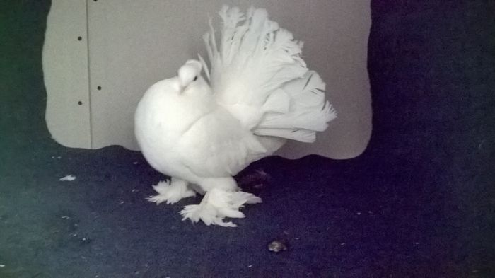 WP_20160107_13_37_48_Pro