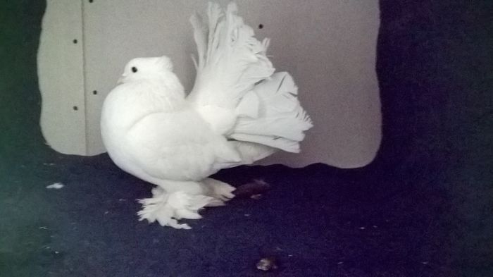 WP_20160107_13_37_53_Pro