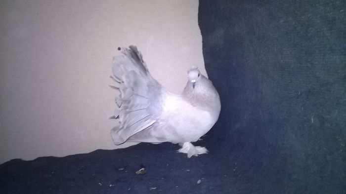 WP_20160107_13_49_51_Pro