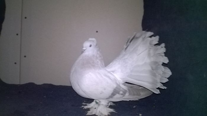 WP_20160107_13_50_56_Pro