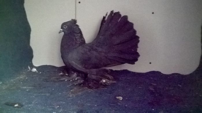 WP_20160107_13_03_38_Pro