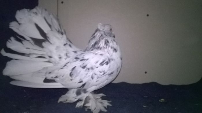 WP_20160107_13_46_58_Pro