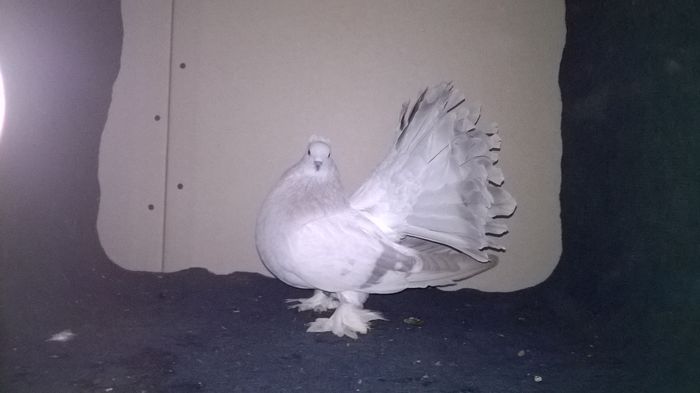 WP_20160107_13_50_39_Pro