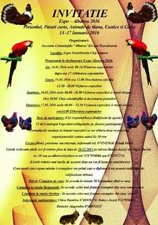 image - 33_TARGURI SI EXPOZITII 2017-2018