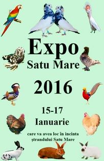 image - 33_TARGURI SI EXPOZITII 2017-2018