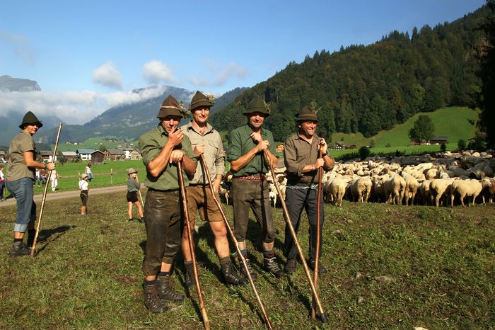 Pastorii din Alpi - Rase de oi si capre poze deosebite 10