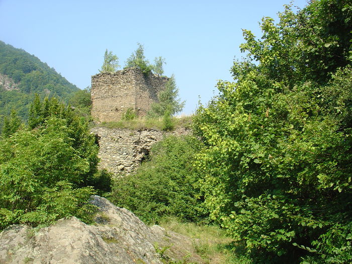 DSC00220 - Castelul din Carpati Cetatea Colt