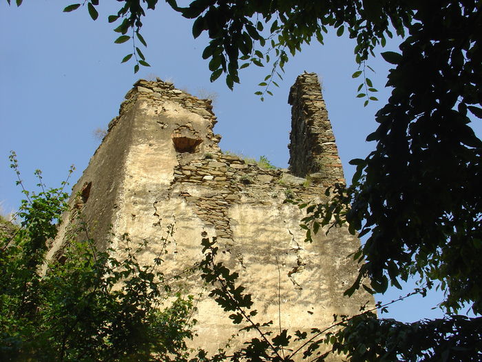 DSC00222 - Castelul din Carpati Cetatea Colt