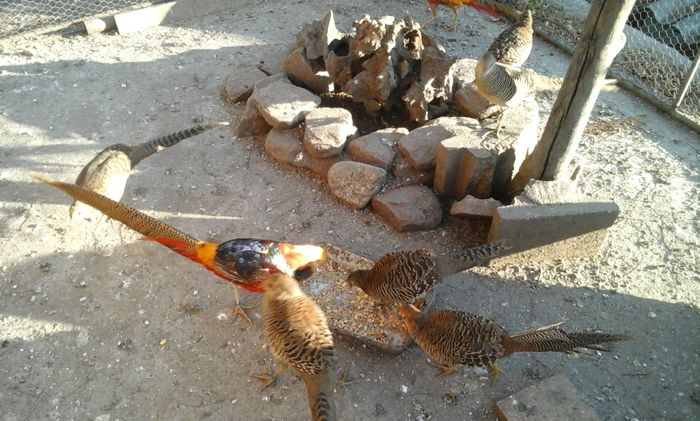 20151213_150707 - Copy