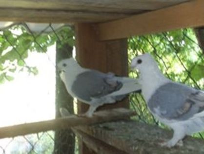 11659517_376428909222063_5569085258597271218_n