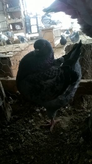 WP_20160107_12_55_45_Pro