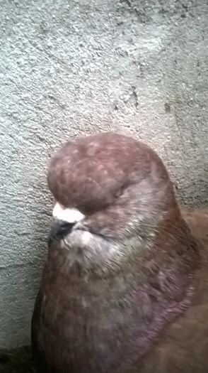 WP_20160107_13_05_45_Pro