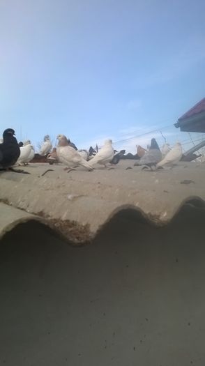 WP_20160109_12_43_47_Pro