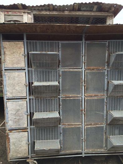 12510578_944696905579786_583116454_o