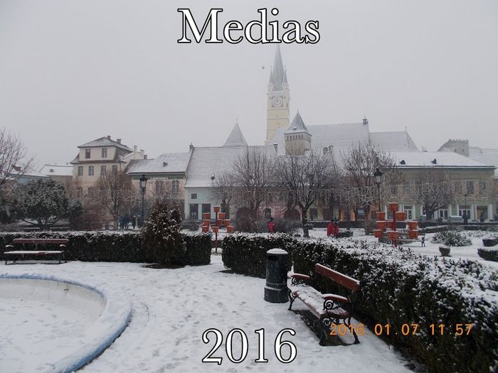 Medias-Centrul - Medias-2016