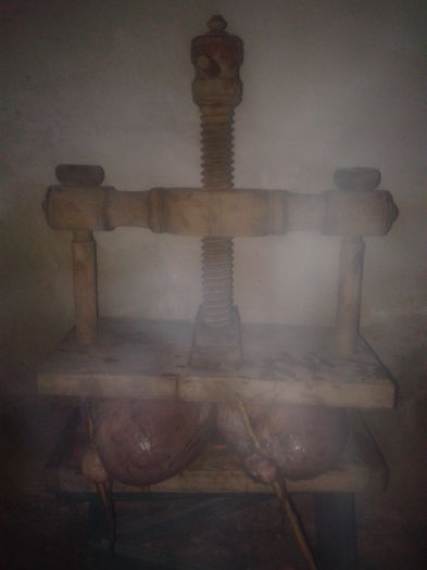 Fotografie0001 seria 2, 3  ianuarie 2016 (16); presa la treaba
