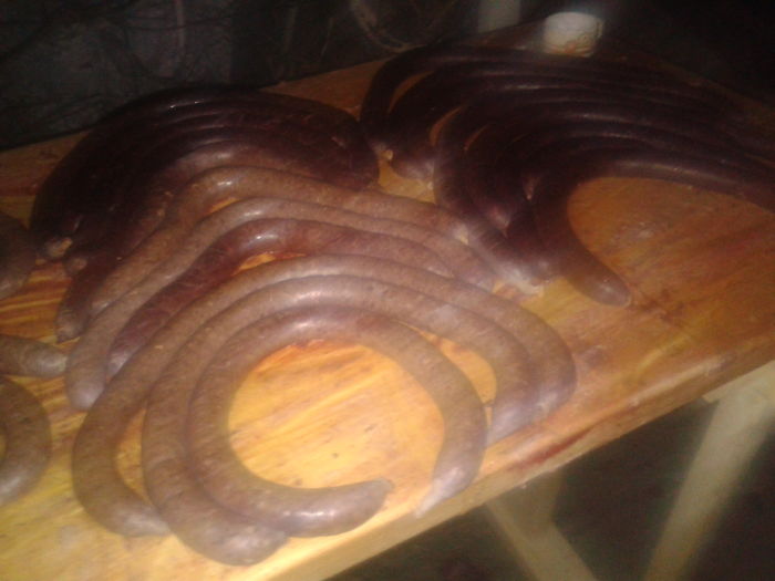 Fotografie0001 seria 2, 3  ianuarie 2016 (19); cartabosi si singerete
