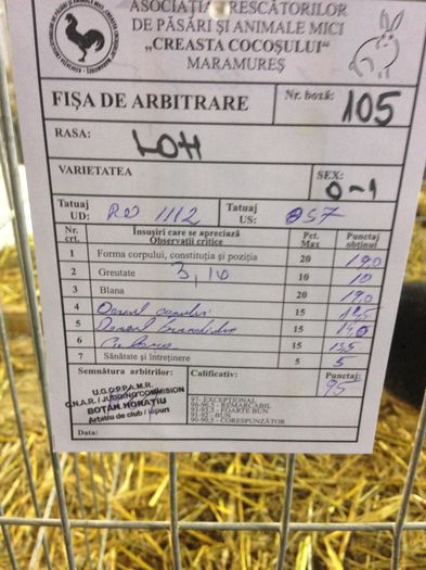 EXPO 2016 MARAMURES - EXPOZITII MARAMURES