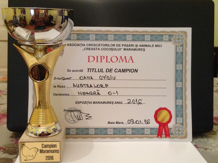 EXPO - MARAMURES 2016