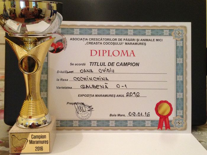 EXPO - MARAMURES 2016