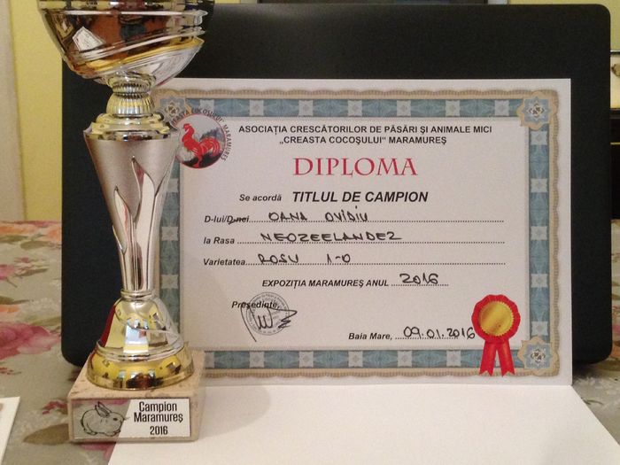 EXPO - MARAMURES 2016