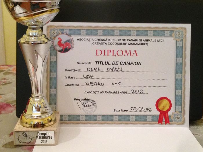 EXPO - MARAMURES 2016