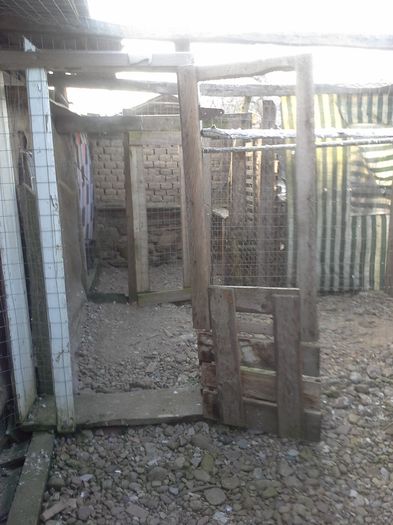 Exterior!! - VOLIERA MEA MODESTA