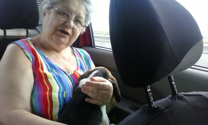 eu si Kira, cainele lui Chris