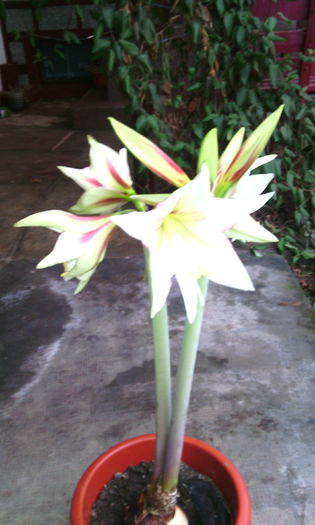 IMG_20160110_161939[1]