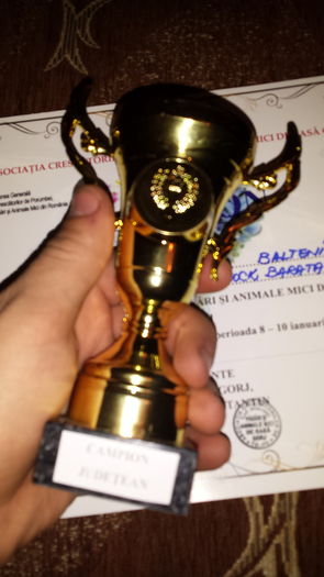 20160110_175248 - Trofee si diplome