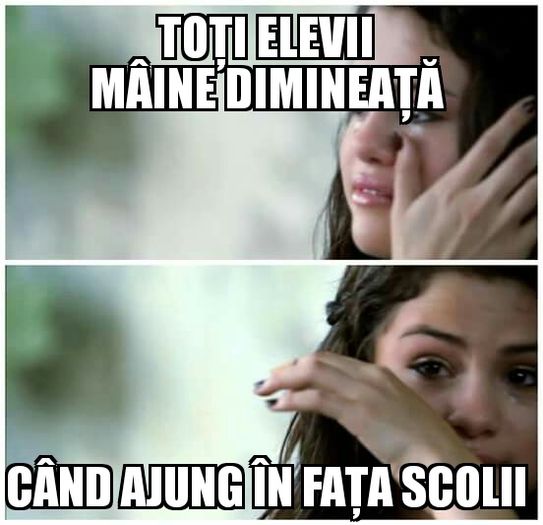 1170879_1551447005179158_9130158674293706946_n