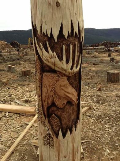 11911412_937127923000202_1093659915_n