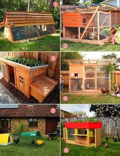 12410541_797417507054220_2654108787377768585_n