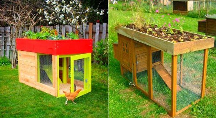 12439523_797416883720949_7022961404045543281_n