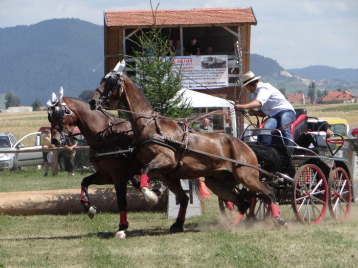 Clement luptatorul - COMPETION 2015