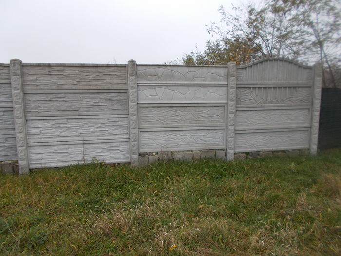 DSCN0141 - poze garduri beton