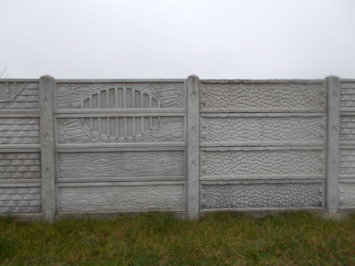 DSCN0143 - poze garduri beton
