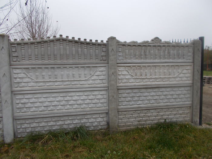 DSCN0144 - poze garduri beton