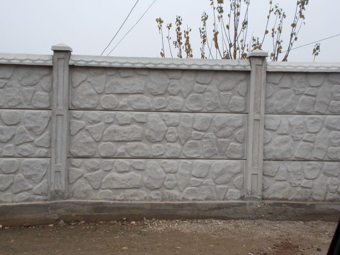 DSCN0146 - poze garduri beton