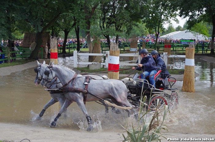 obstacolul 5 - CAMPIONAT MONDIAL 2015