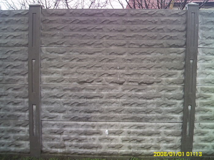 PICT0161 - poze garduri beton